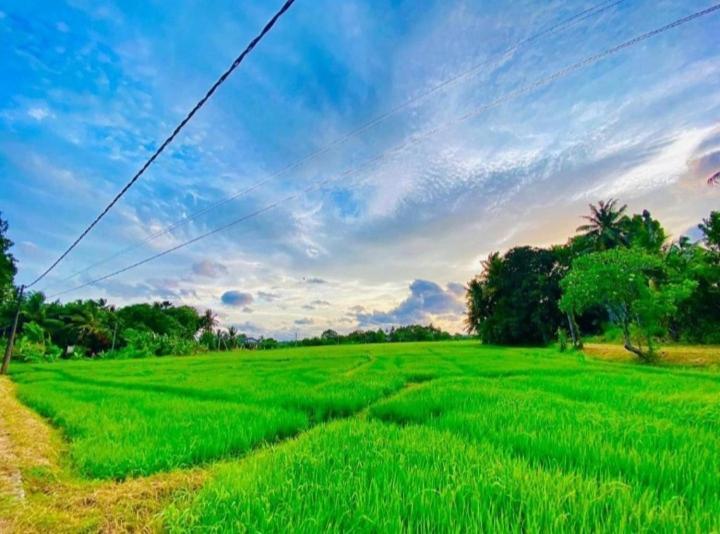 Arani Homestay Polonnaruwa Zewnętrze zdjęcie