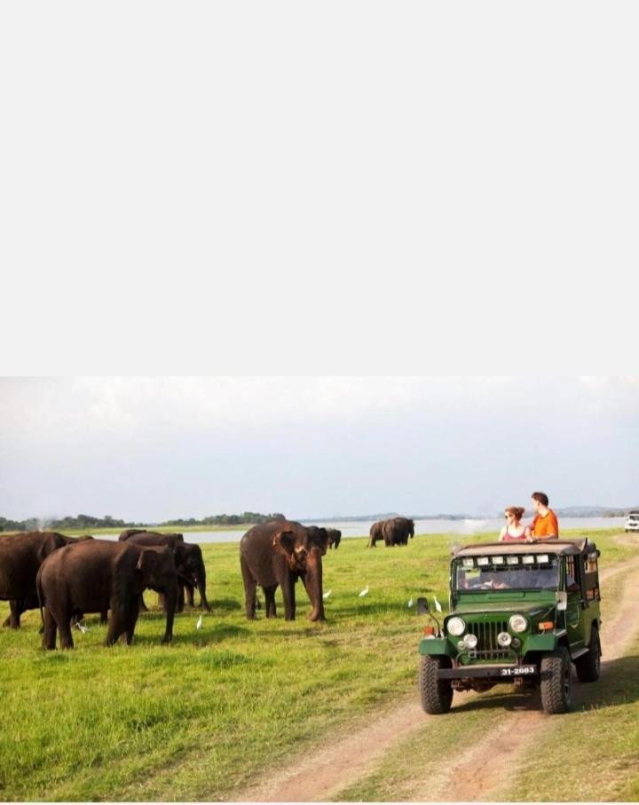 Arani Homestay Polonnaruwa Zewnętrze zdjęcie